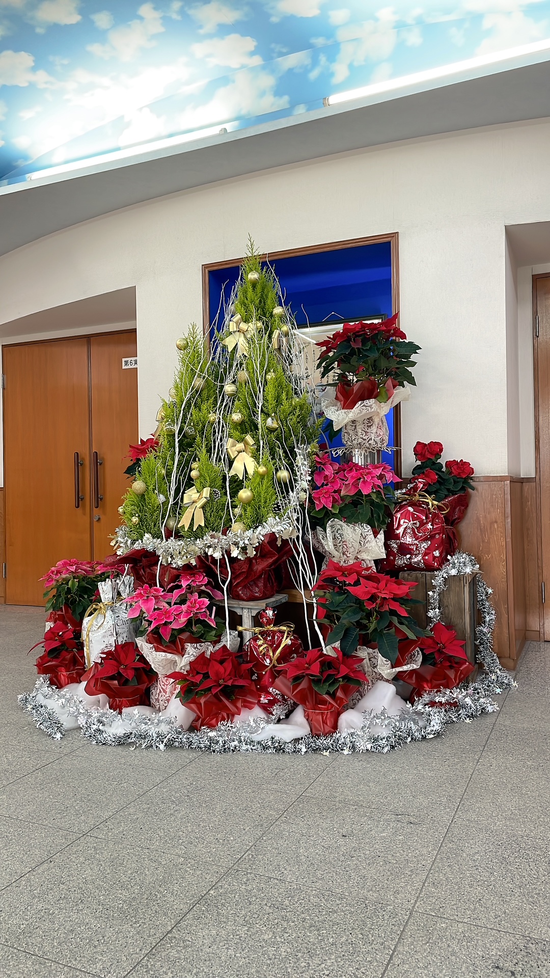 巨大クリスマスツリー爆誕🎄🎅